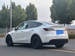 Tesla Model Y Long Range All-Wheel Drive - ფოტო 7