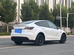 Tesla Model Y Long Range All-Wheel Drive - ფოტო 9