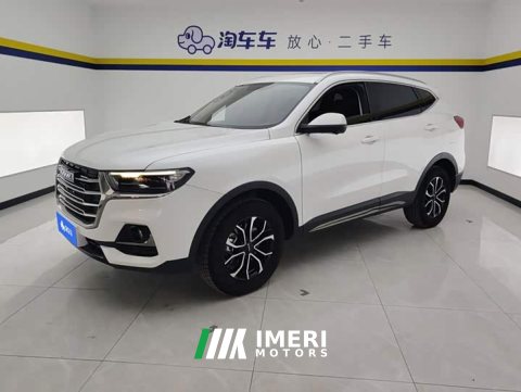 2023 Haval H6 National Trend Edition 1.5T Automatic Urban Version - ავტომობილი ჩინეთიდან
