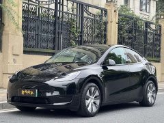 Tesla Model Y 2022 Rear-Wheel Drive - ფოტო 1