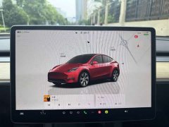 Tesla Model Y 2022 Rear-Wheel Drive - ფოტო 14