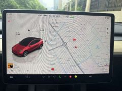 Tesla Model Y 2022 Rear-Wheel Drive - ფოტო 17