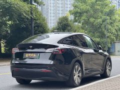 Tesla Model Y 2022 Rear-Wheel Drive - ფოტო 19