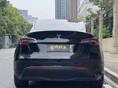 Tesla Model Y 2022 Rear-Wheel Drive - ფოტო 20