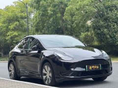 Tesla Model Y 2022 Rear-Wheel Drive - ფოტო 3