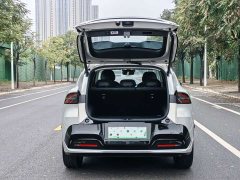 Changan Qiyuan Q05 506 Laser Ultimate Edition - ფოტო 7