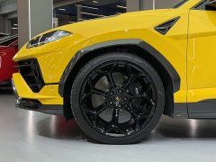 Lamborghini Urus 2022 4.0T V8 Performante - ფოტო 13