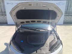 BYD Dolphin 650 Smart Drive Edition - ფოტო 6