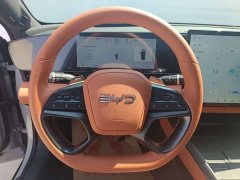 BYD Dolphin 650 Smart Drive Edition - ფოტო 9