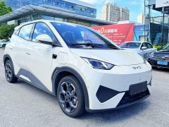 BYD Seagull Smart Driving Edition 305km Freedom Edition - ფოტო 3