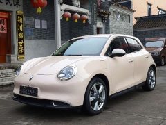 ORA Good Cat 400km Standard Range Athena Edition Ternary Lithium - ფოტო 1