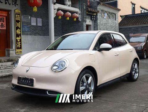 2021 ORA Good Cat 400km Standard Range Athena Edition Ternary Lithium - ავტომობილი ჩინეთიდან