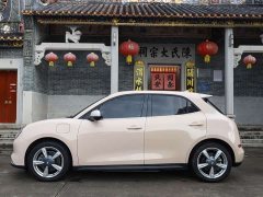 ORA Good Cat 400km Standard Range Athena Edition Ternary Lithium - ფოტო 10