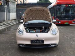 ORA Good Cat 400km Standard Range Athena Edition Ternary Lithium - ფოტო 17