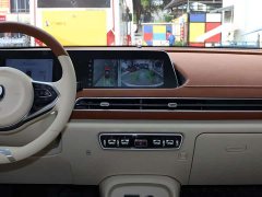 ORA Good Cat 400km Standard Range Athena Edition Ternary Lithium - ფოტო 19