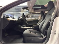 Tesla Model 3 Standard Range RWD Upgrade 3D6 - ფოტო 13