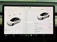 Tesla Model 3 Standard Range RWD Upgrade 3D6 - ფოტო 16