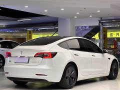 Tesla Model 3 Standard Range RWD Upgrade 3D6 - ფოტო 4
