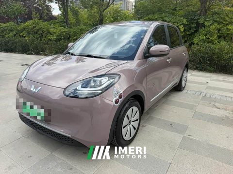 2023 Wuling Binguo 203km Light Enjoy Edition - ავტომობილი ჩინეთიდან