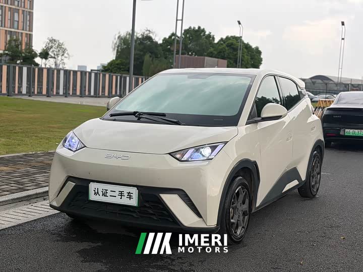 BYD Seagull Glory Edition 305km Vitality Version - ავტომობილი ჩინეთიდან