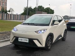 BYD Seagull Glory Edition 305km Vitality Version - ფოტო 1