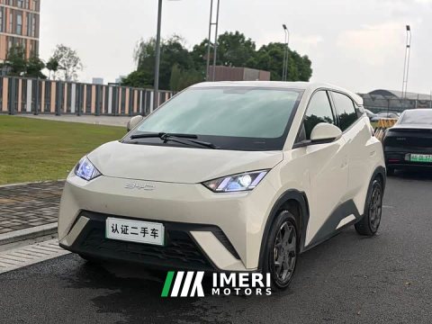2024 BYD Seagull Glory Edition 305km Vitality Version - ავტომობილი ჩინეთიდან