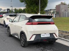 BYD Seagull Glory Edition 305km Vitality Version - ფოტო 11