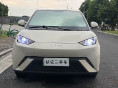 BYD Seagull Glory Edition 305km Vitality Version - ფოტო 16