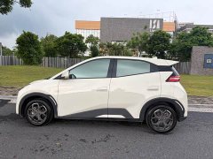 BYD Seagull Glory Edition 305km Vitality Version - ფოტო 2