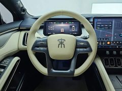 BYD Song L EV 662km Excellence Edition - ფოტო 15