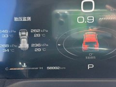 Tank 300 Off-Road Edition 2.0T Conqueror - ფოტო 7