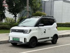 BMW Hongguang MINIEV GAMEBOY 200km Fun Edition LFP Battery - ფოტო 1