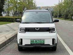 BMW Hongguang MINIEV GAMEBOY 200km Fun Edition LFP Battery - ფოტო 2