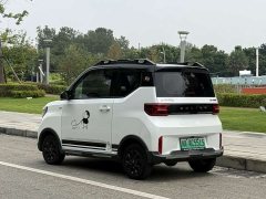BMW Hongguang MINIEV GAMEBOY 200km Fun Edition LFP Battery - ფოტო 8