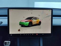 Tesla Model Y Rear-Wheel Drive - ფოტო 13