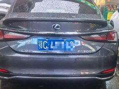 Lexus ES 300h Excellence - ფოტო 3