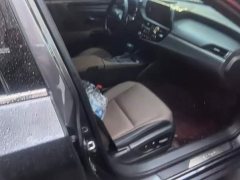 Lexus ES 300h Excellence - ფოტო 4
