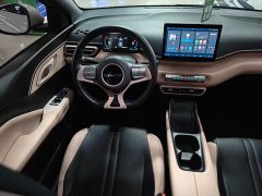 BYD Seagull Freedom Edition - ფოტო 10