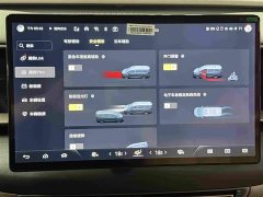 Denza BYD Denza D9 2022 DM-i 970 AWD Premium Edition - ფოტო 10