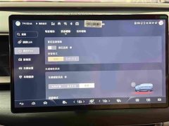 Denza BYD Denza D9 2022 DM-i 970 AWD Premium Edition - ფოტო 11