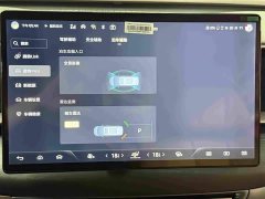 Denza BYD Denza D9 2022 DM-i 970 AWD Premium Edition - ფოტო 13