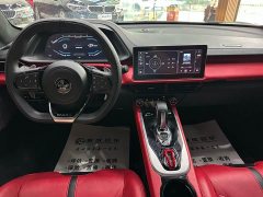 Ora Emira 2021 2.0T DCT First Edition - ფოტო 9