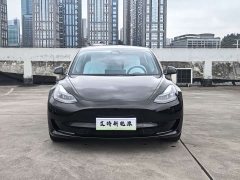 Tesla Model 3 Rear-Wheel Drive - ფოტო 2