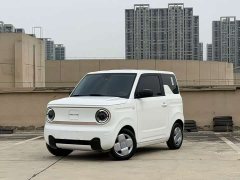 Geely Panda 2024 Panda Mini 200km Endurance Edition - ფოტო 1