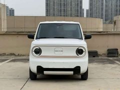 Geely Panda 2024 Panda Mini 200km Endurance Edition - ფოტო 2