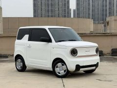 Geely Panda 2024 Panda Mini 200km Endurance Edition - ფოტო 3