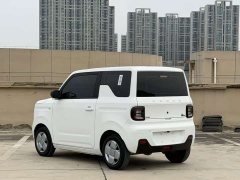 Geely Panda 2024 Panda Mini 200km Endurance Edition - ფოტო 6