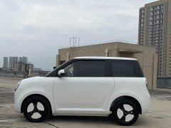 Changan Lumin 205km Xiangqin Edition - ფოტო 12