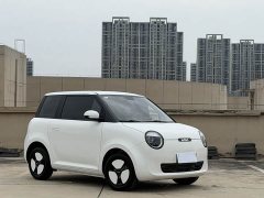 Changan Lumin 205km Xiangqin Edition - ფოტო 3