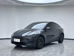 Tesla Model Y Rear-Wheel Drive - ფოტო 1